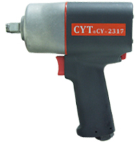 CYT CY-2317