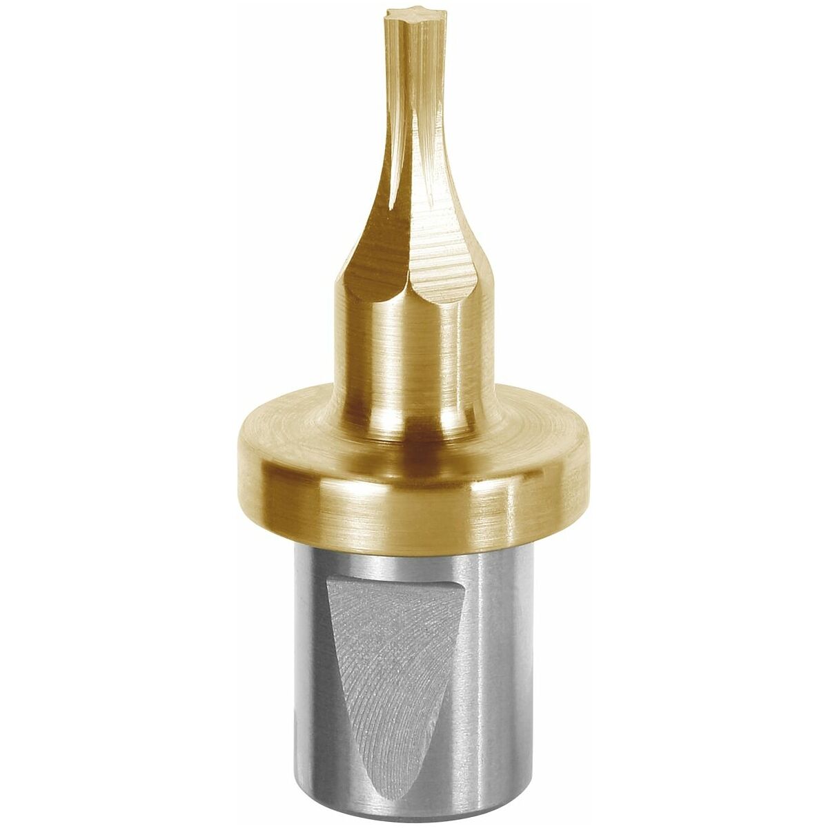 ĐẦU DAO TẠO LỖ TORX TX25 D=12MM GARANT 293063 TX25 - Ảnh 3