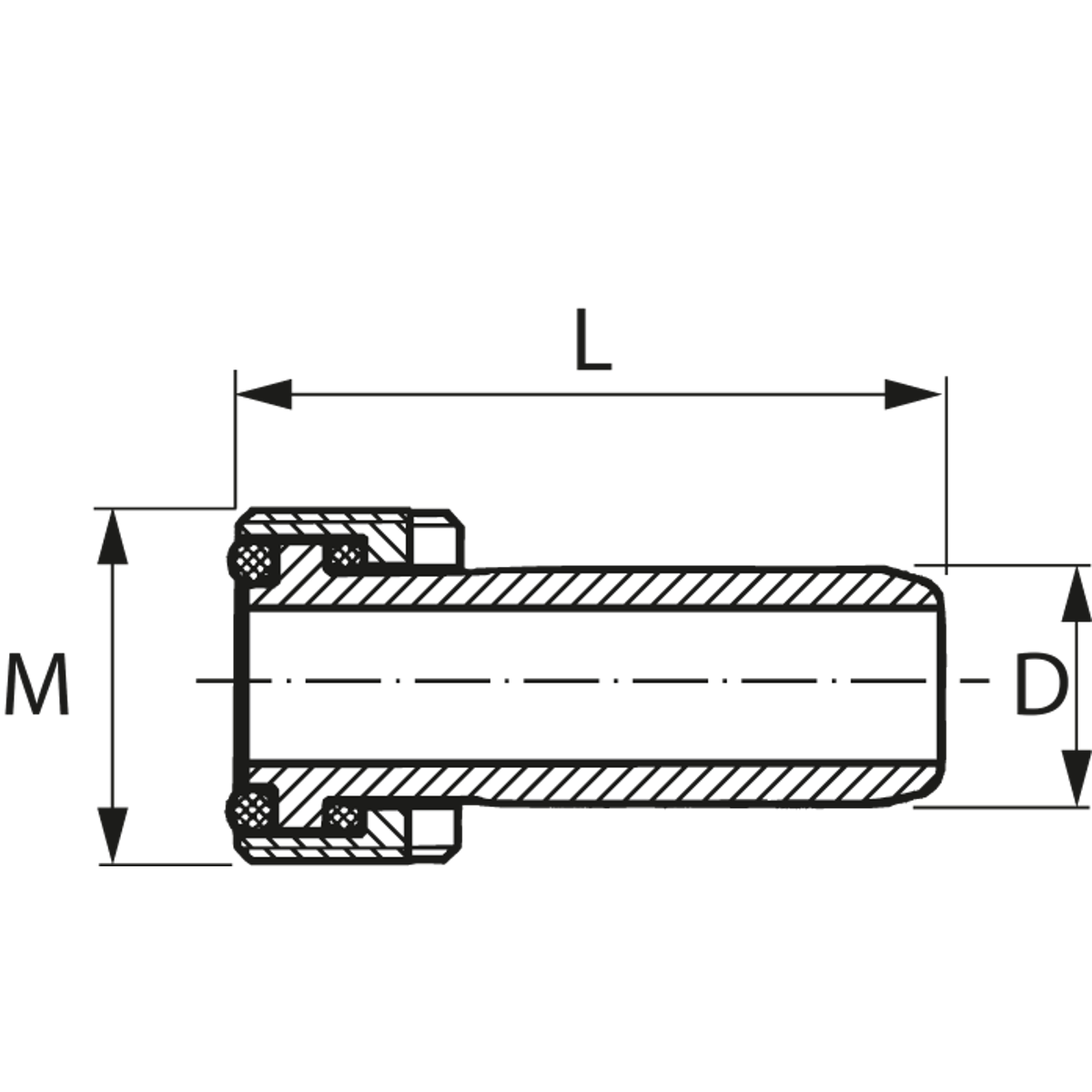 ỐC ĐƯỜNG NƯỚC TƯỚI NGUỘI CHO ĐẦU HSK 80 - Ảnh 3